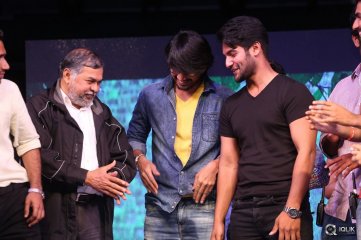 Seethamma Andaalu Raamayya Sithraalu Platinum Disc Function